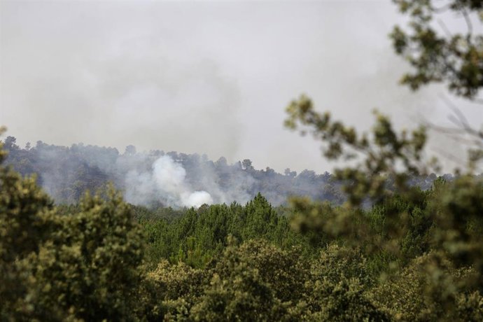 Columna de humo en un incendio en León.