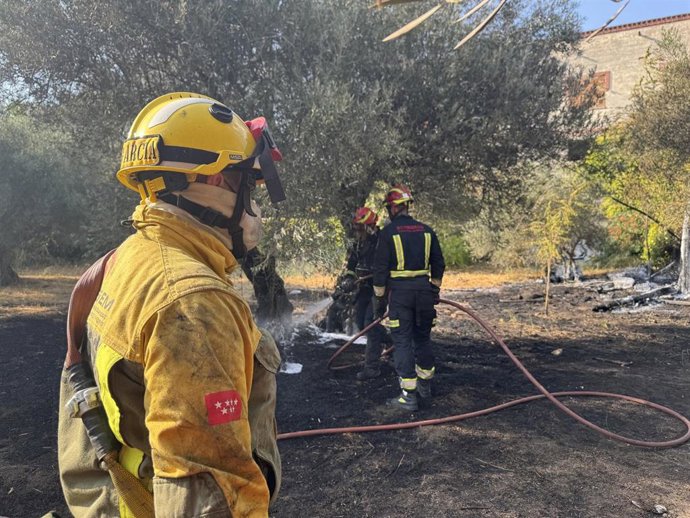 Controlado un incendio en San Martín de Valdeiglesias frenando su propagación a una zona industrial
