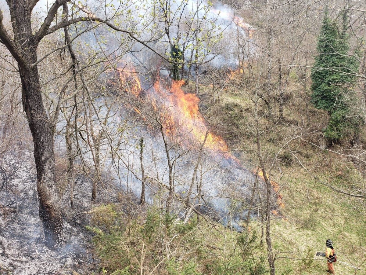 Ecologistas alertan de niveles muy elevados de contaminación por las partículas finas de los incendios en Asturias