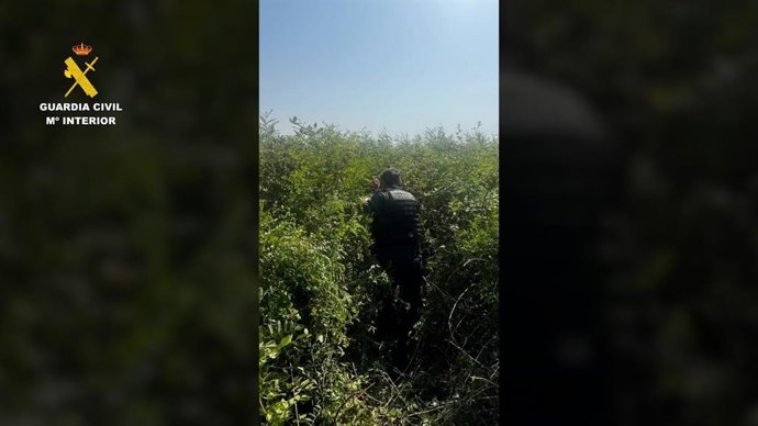 Rescatado al quedar atrapado en un zarzal en Puebla del Río bajo temperaturas extremas.