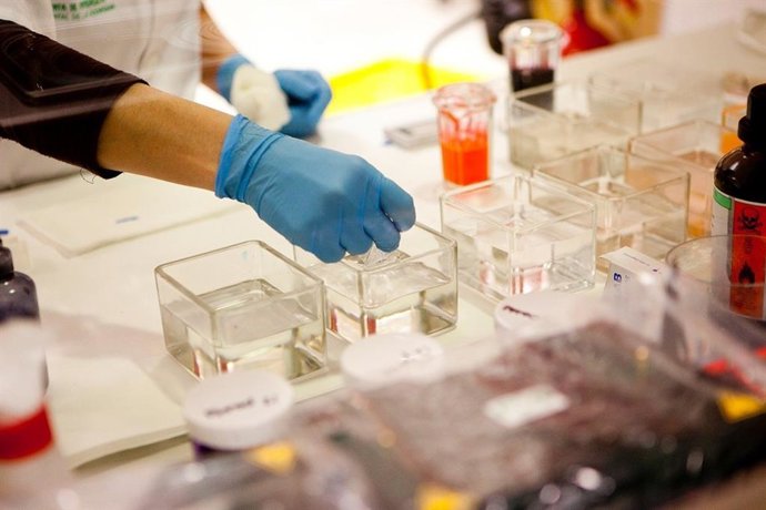 Ensayos clínicos en terapias avanzadas de la Junta de Andalucía.