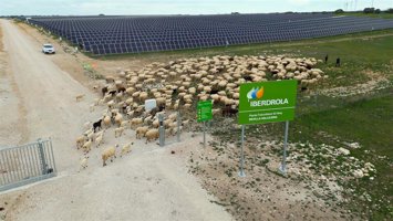 Planta fotovoltaica de Iberdrola en Revilla Vallejera