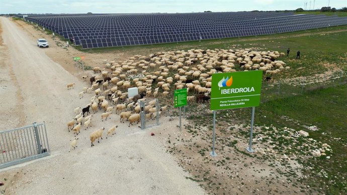 Planta fotovoltaica de Iberdrola en Revilla Vallejera