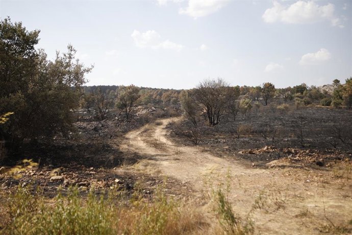 Vista tras el paso del fuego, a 14 de agosto de 2025, en Villageriz, Zamora, Castilla y León (España). 