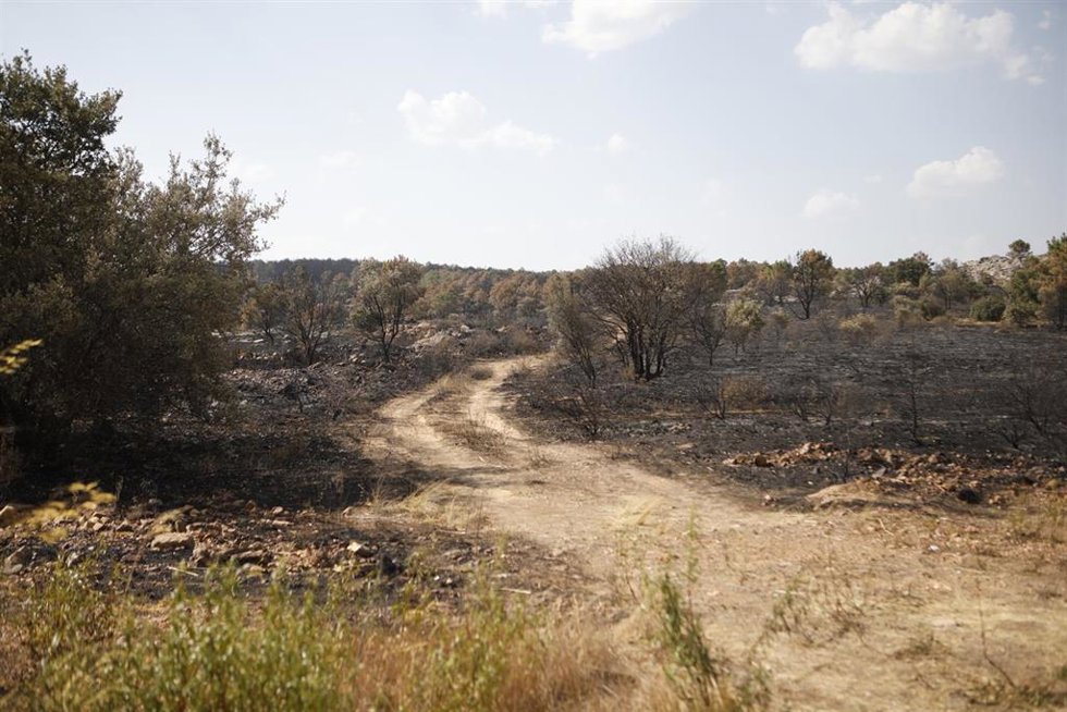 Vista tras el paso del fuego, a 14 de agosto de 2025, en Villageriz, Zamora, Castilla y León (España).