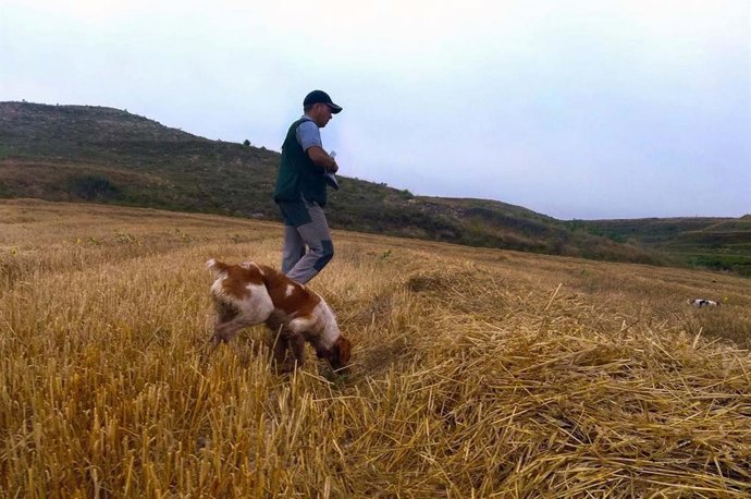 Archivo - Media veda caza