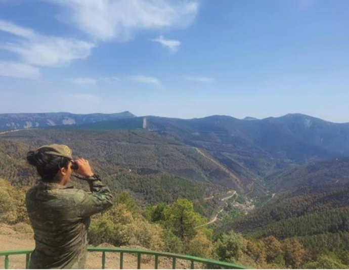 Archivo - Militar del Ejército de Tierra en la operación de lucha contra incendios en Castilla y León