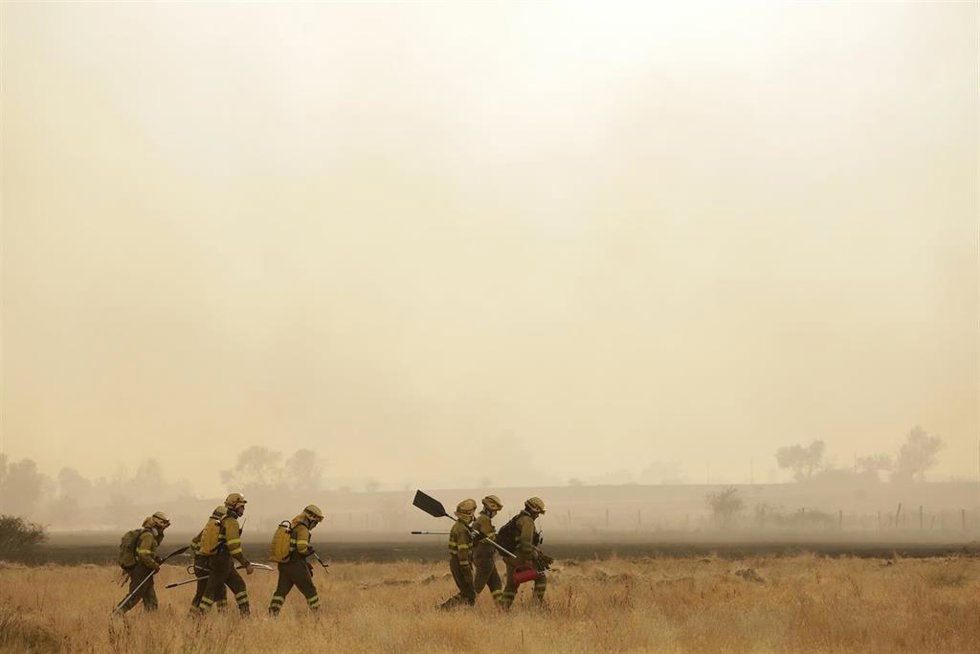 Varios bomberos tratan de extinguir un fuego, a 13 de agosto de 2025, en Miñambres de la Valduerna, León, Castilla y León (España). 