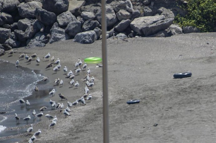Archivo - Flotadores en la playa del Tarajal, a 4 de agosto de 2024, en Ceuta (España). 