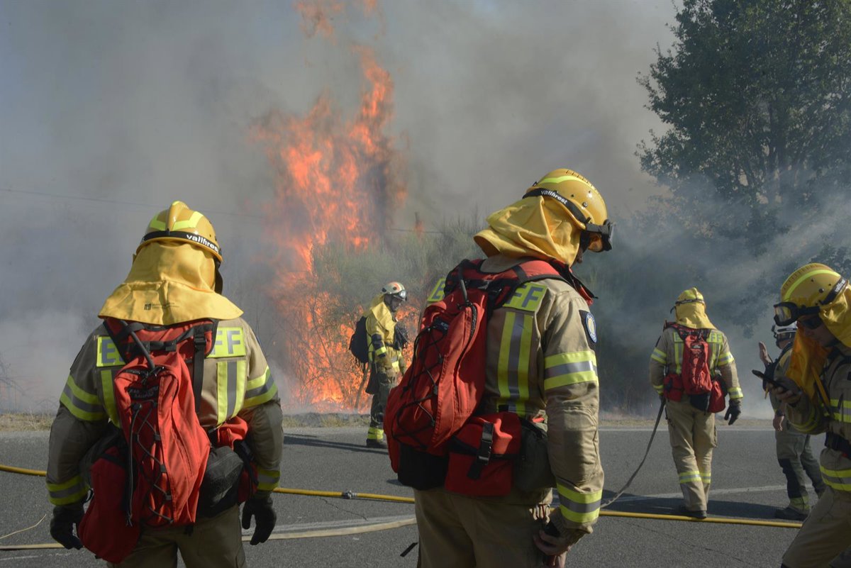 Hasta 19 incendios activos requieren la ayuda del Estado, a la que se sumarán dos aviones italianos
