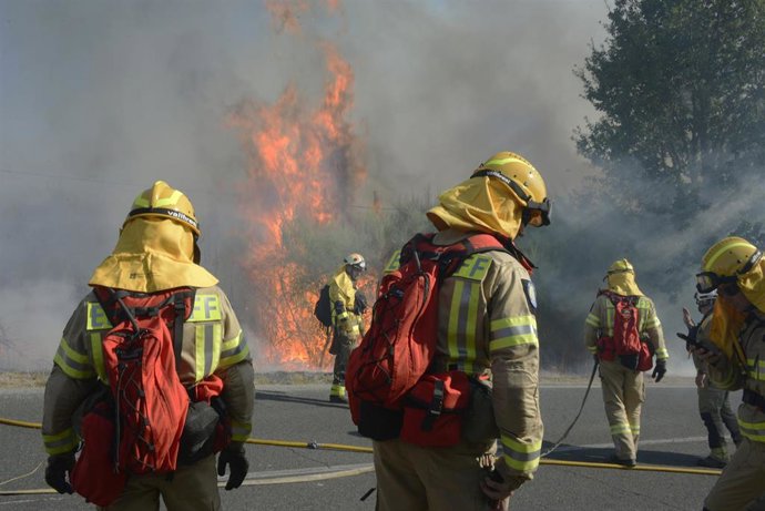 Archivo - Varios bomberos tratan de apagar el fuego durante el incendio forestal en la parroquia de Oseira, a 20 de agosto de 2024, en San Cristovo de Cea, Ourense, Galicia (España).