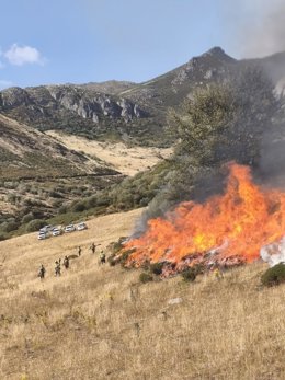El operativo de '#INFOAR' del Gobierno de Aragón mantiene su lucha contra el fuego en los montes de La Uña (León)