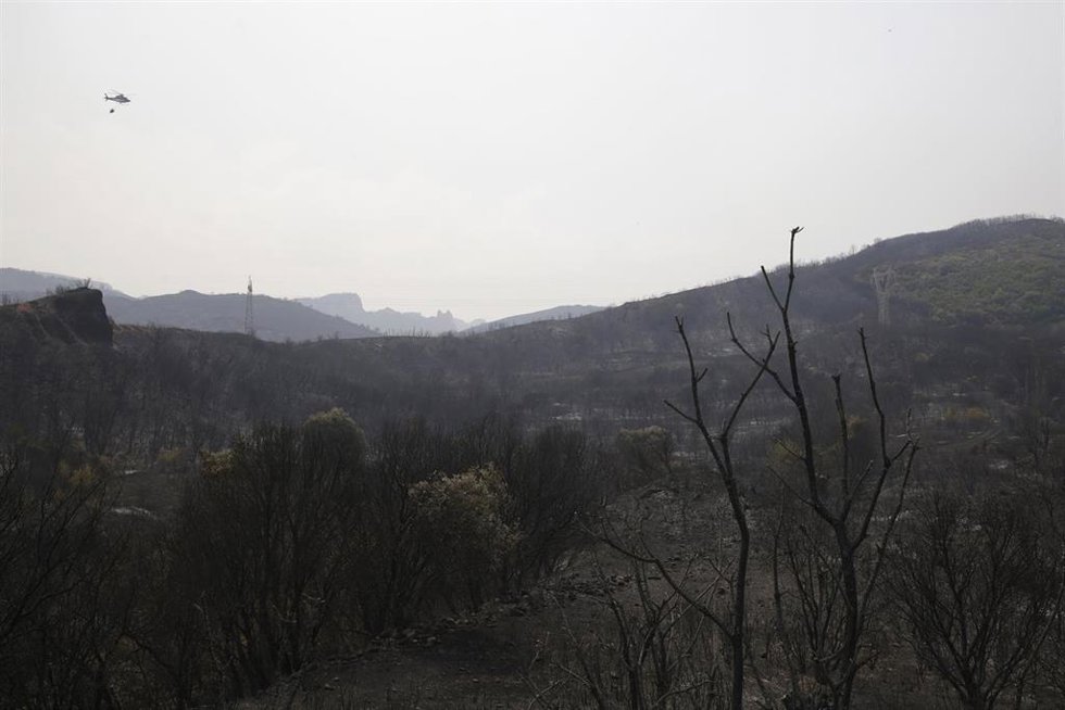 Campo quemado en la zona de Las Médulas, a 11 de agosto de 2025, en El Bierzo , León, Castilla y León (España).