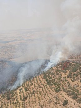 Declarado Un Incendio Forestal En Villanueva Del Rey