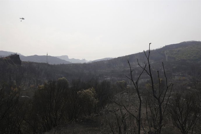 Campo queimado na área de Las Médulas, em 11 de agosto de 2025, em El Bierzo , León, Castilla y León (Espanha). Os incêndios florestais continuam na província de León, com um dos contextos mais complexos no incêndio que se originou na cidade de