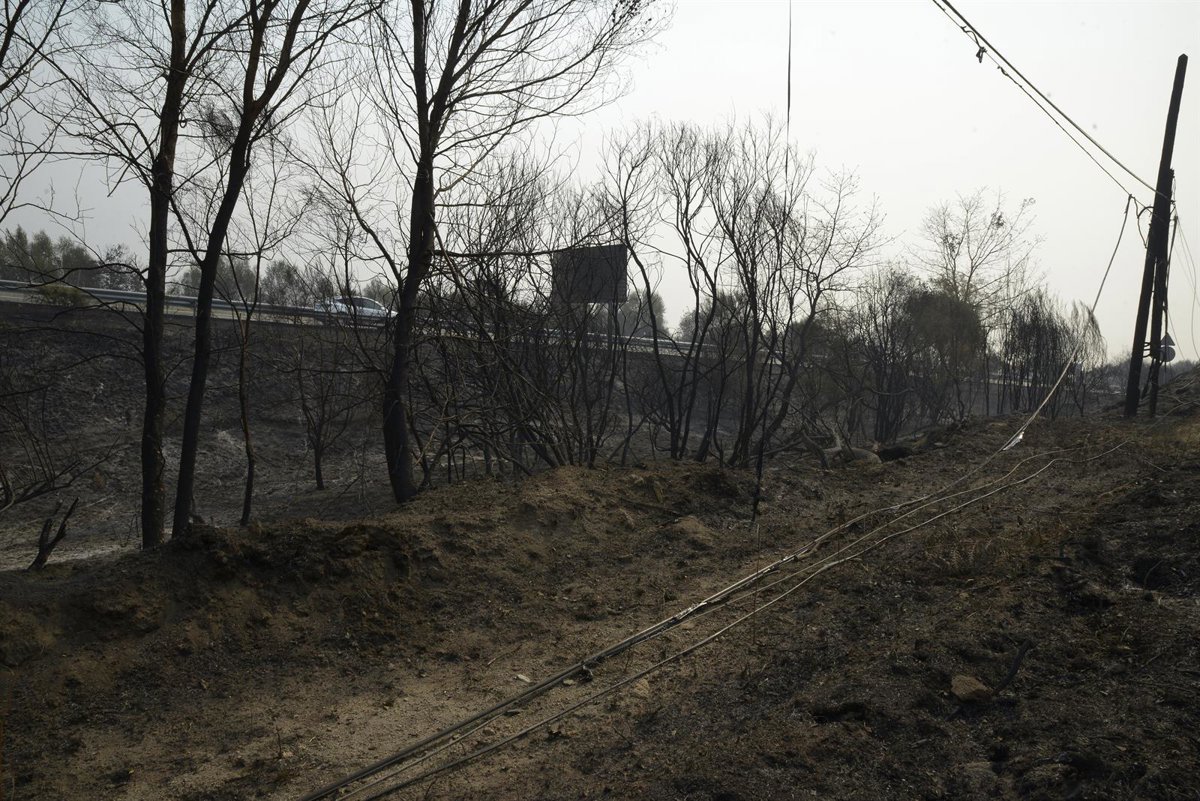 Galicia registra 14 incendios activos, con más de 46.000 hectáreas quemadas solo en la provincia de Ourense