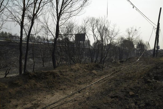 Superficie quemada en incendios de Ourense