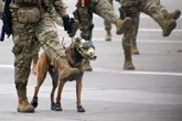 Foto: Chile.- Detenidos tres militares chilenos tras ser sorprendidos con un alijo de droga