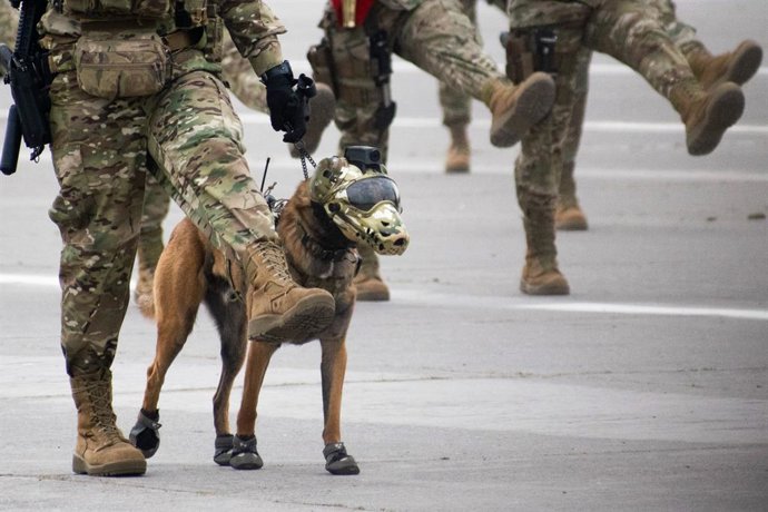 Archivo - Arquivo - 19 de setembro de 2023, Santiago, Metropolitana, Chile: Soldados chilenos marcham com cães de resgate durante o desfile militar anual para comemorar o Dia da Independência e o Dia das Glórias do Exército em Santiago, Chile.