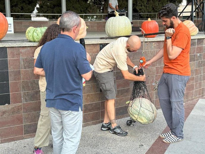 Pesaje de calabazas en la Exposición Degustación de Productos de los Huertos Ecológicos Municipales de Binéfar (Huesca).
