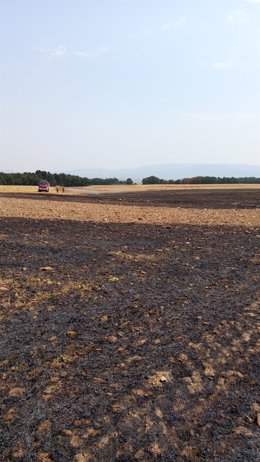 Labores de extinción