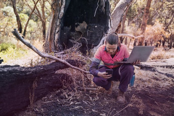 Archivo - Indra y Minsait avanzan hacia un modelo predictivo de digitalización forestal frente a los incendios