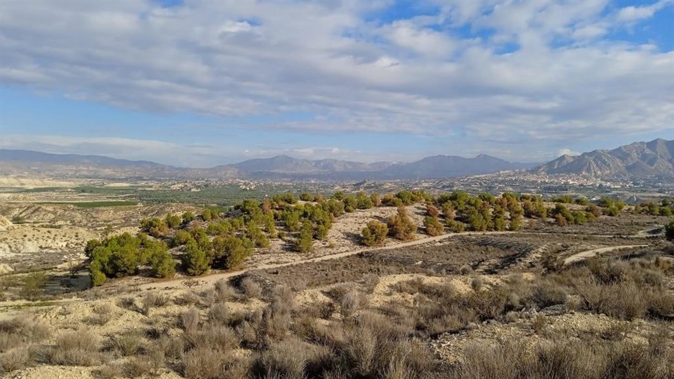 Paraje de las 'Contiendas y Lomas del Algezar', en el término municipal de Abanilla.