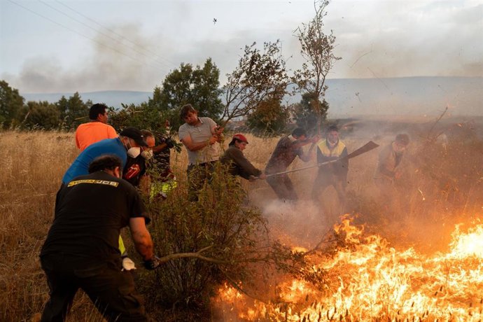 Varias personas tratan de apagar el fuego, a 12 de agosto de 2025, en Abejera, Zamora, Castilla y León (España). 