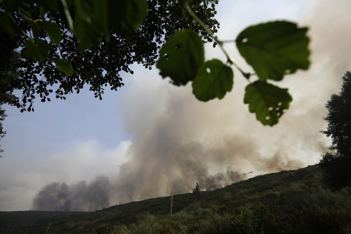Incendio forestal, a 17 de agosto de 2025, en Molinaferrera, León, Castilla y León (España).