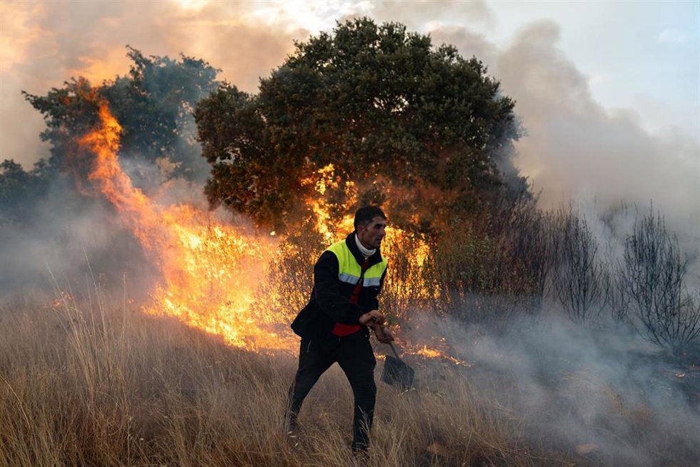 Una persona trata de apagar el fuego, a 12 de agosto de 2025, en Abejera, Zamora, Castilla y León (España)