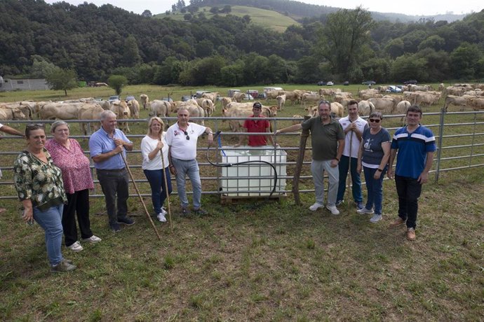 Cerca de 1.400 animales se dan cita en la quinta feria ganadera del Llano de Penagos