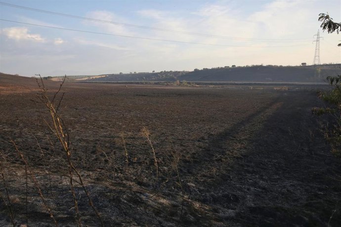 Zona calcinada por el incendio de Calera y Chozas