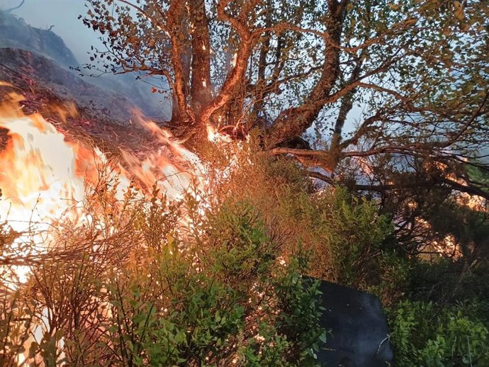 Quema de monte bajo.