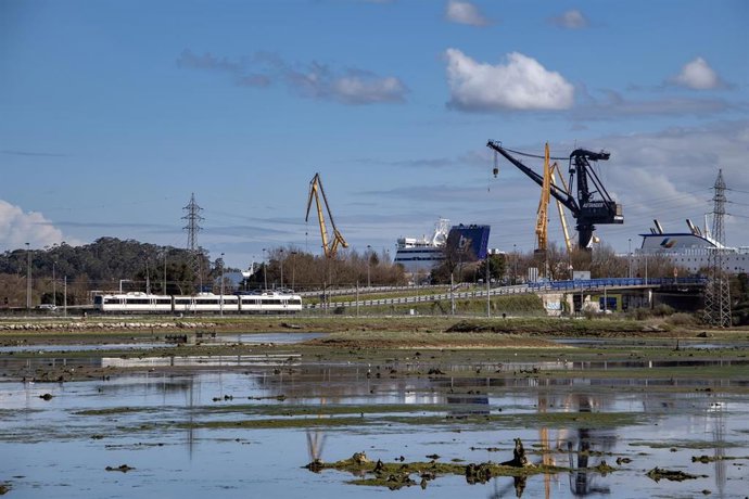 Archivo - Marismas Negras de El Astillero.