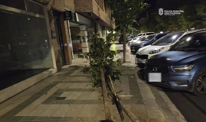 Actuación de la Policía Municipal de Pamplona.