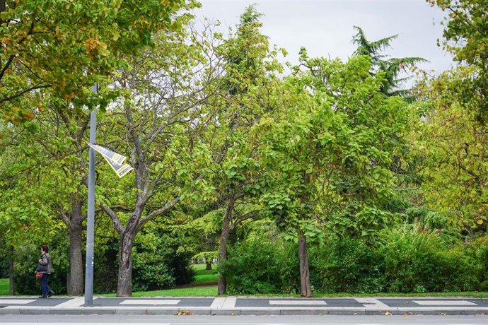 Archivo - Se produjeron valores muy elevados de viento