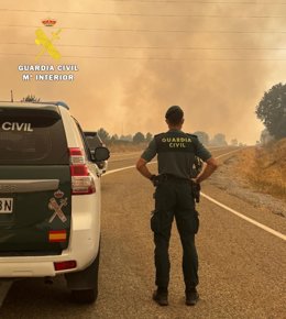 Agentes durante el incendio en las proximidades de Guardo (Palencia).