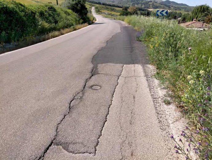 La Diputación licita por 3,7 millones de euros el arreglo de la carretera de acceso al Valle del Guadiaro desde Ronda