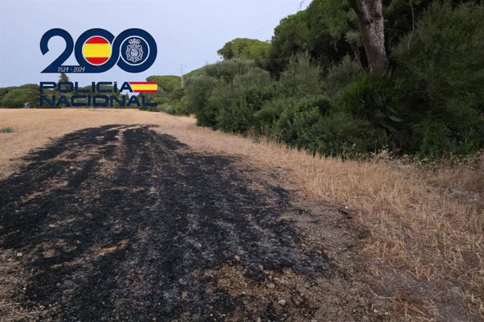 Zona quemada por un incendio forestal en Puerto Real (Cádiz)