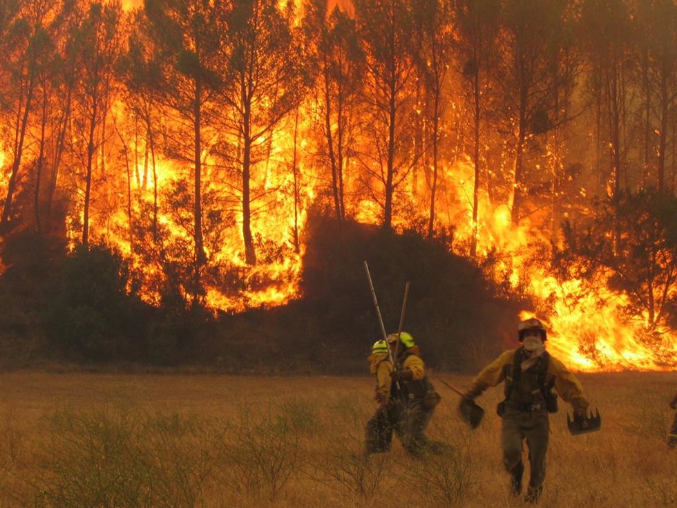 Archivo - Incendio forestal. Fuego. Extinción. Llamas. Bosque. Quemado.