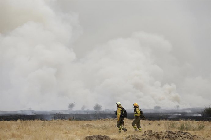Varios bomberos tratan de extinguir un fuego, a 13 de agosto de 2025, en Miñambres de la Valduerna, León, Castilla y León (España). Un total de 7.859 personas, de 34 localidades leonesas, han sido evacuadas debido al avance del incendio forestal de Molezu