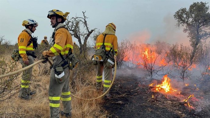 Efectivos de la brigada de bomberos forestales de la Región prestando ayuda en la lucha contra el fuego en Extremadura.