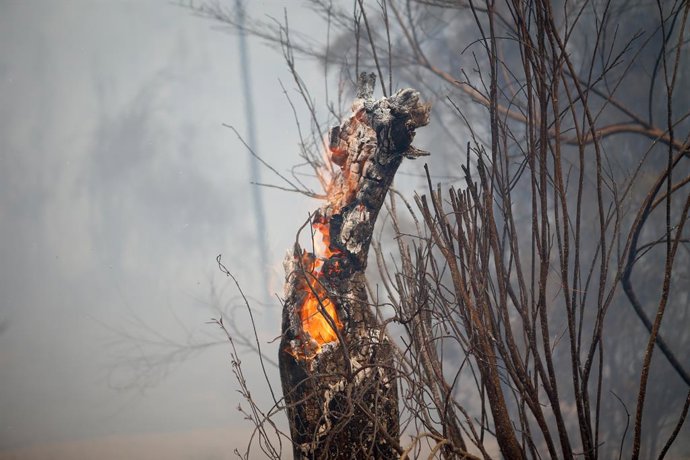 Incendio forestal se acerca a Quiroga, a 17 de agosto de 2025, en Quiroga, Lugo, Galicia (España). El incendio registrado en Larouco (Ourense) “se comportó de un modo explosivo” y pasó el Sil hasta por 15 puntos, para acabar entrando en la provincia de Lu