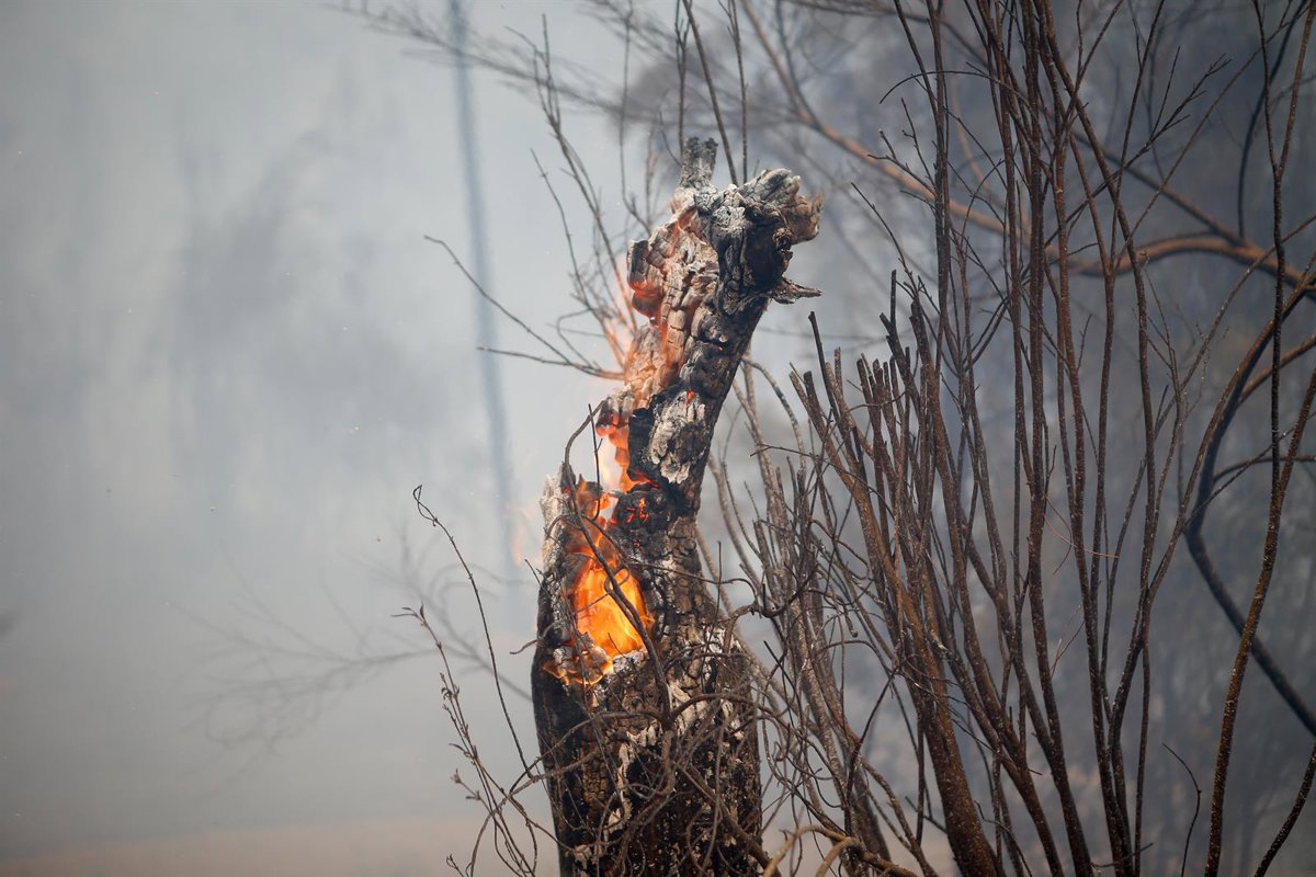 El fuego mantiene activos 40 focos en España, mientras se intensifica la ayuda internacional y de otras CCAA
