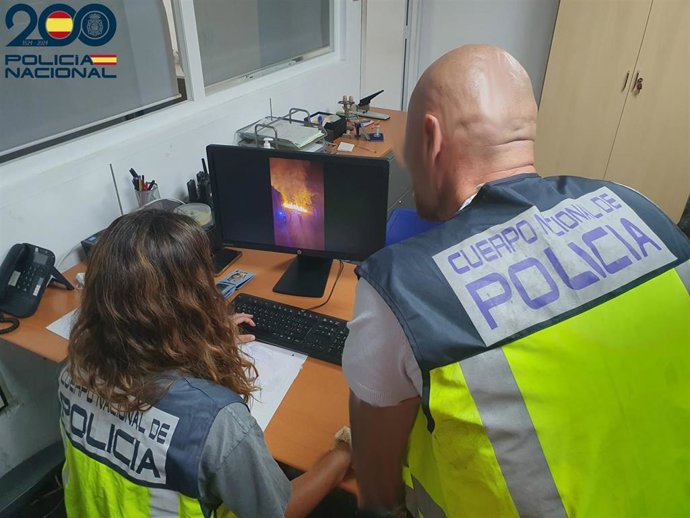 Agentes de la Policía Nacional investigan el incendio provocado en una zona boscosa de Palma.