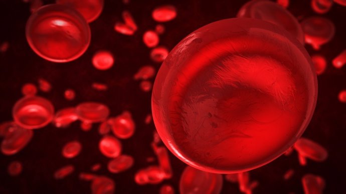 Archivo - Renderização em 3D de células vermelhas do sangue em uma veia