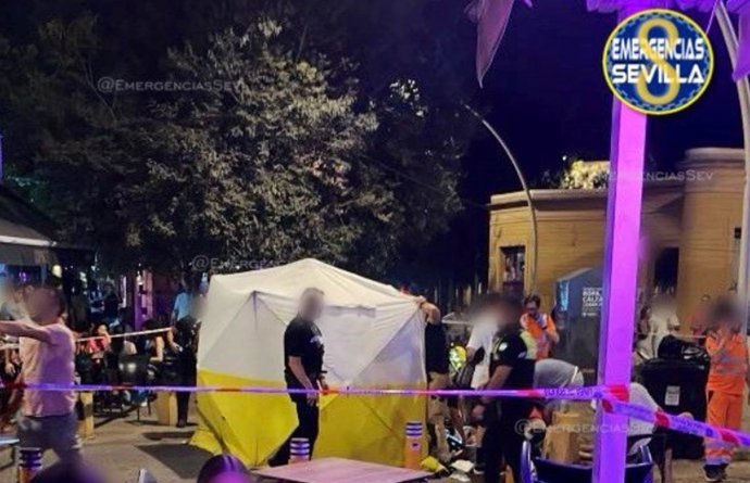 Lugar en el que ha ocurrido el incidente.