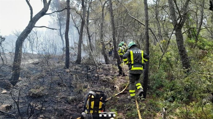 Un incendio en Valls (Tarragona) quema 6.245 metros cuadrados