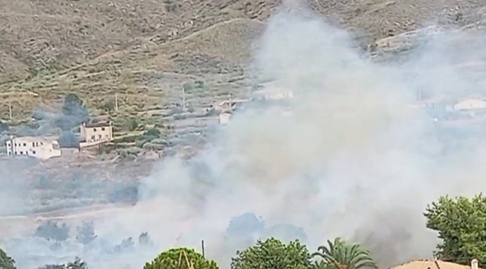 Fuego en un bancal de olivos de Cantoria (Almería).