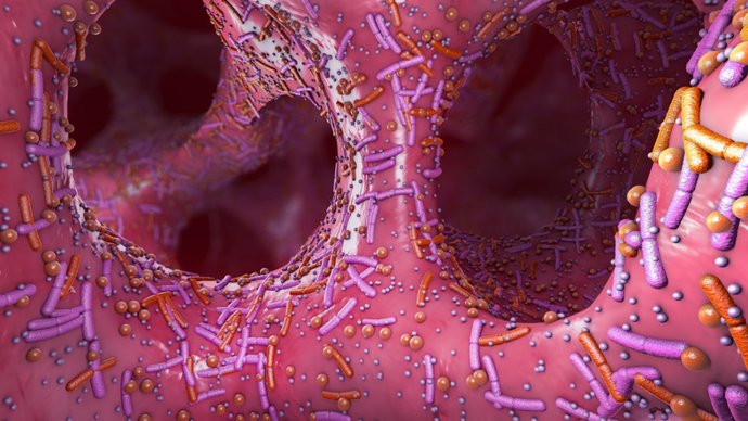 Archivo - Imagen de la representación de microbiota.